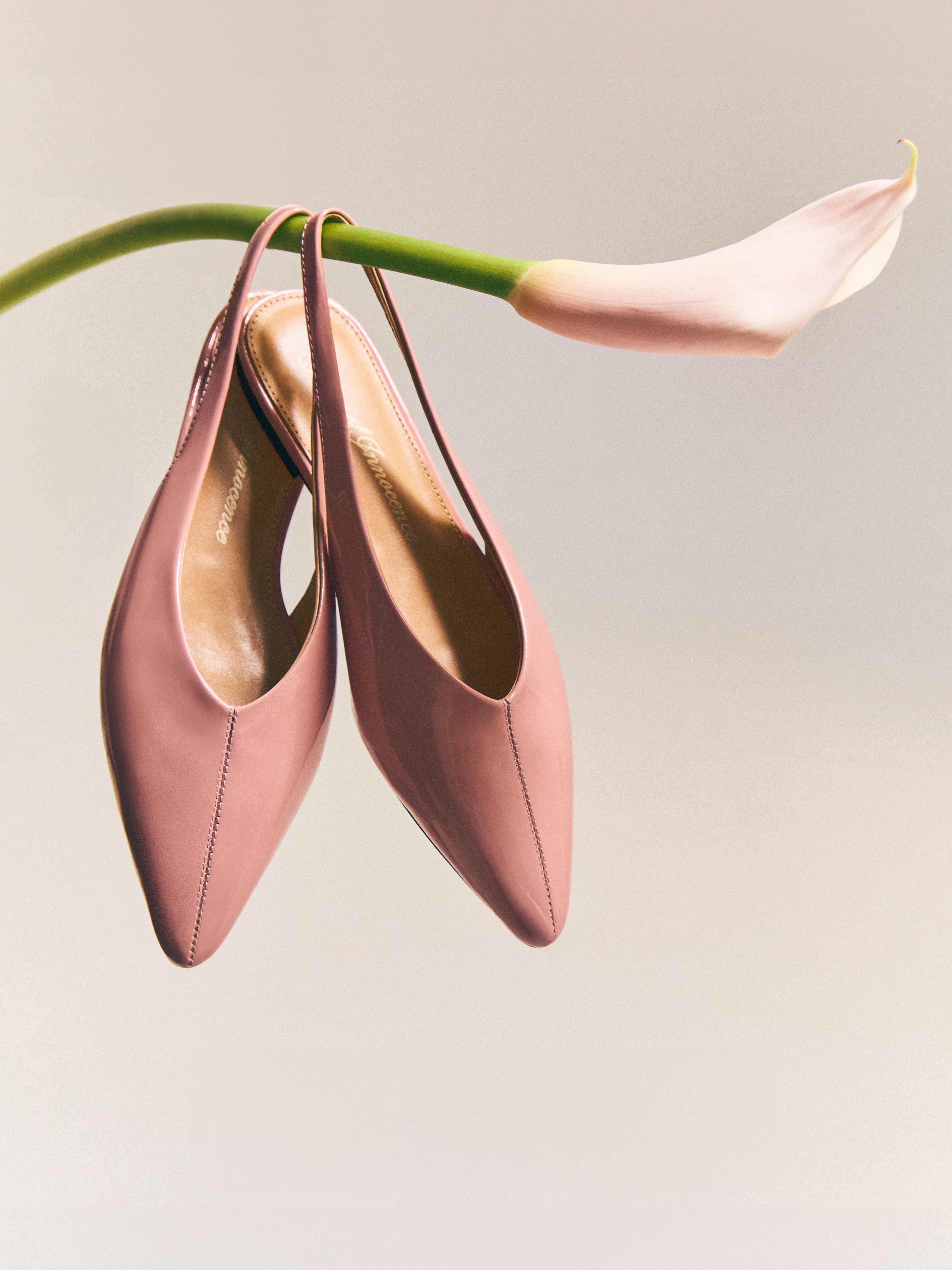 Мюли Wendy PL Pink