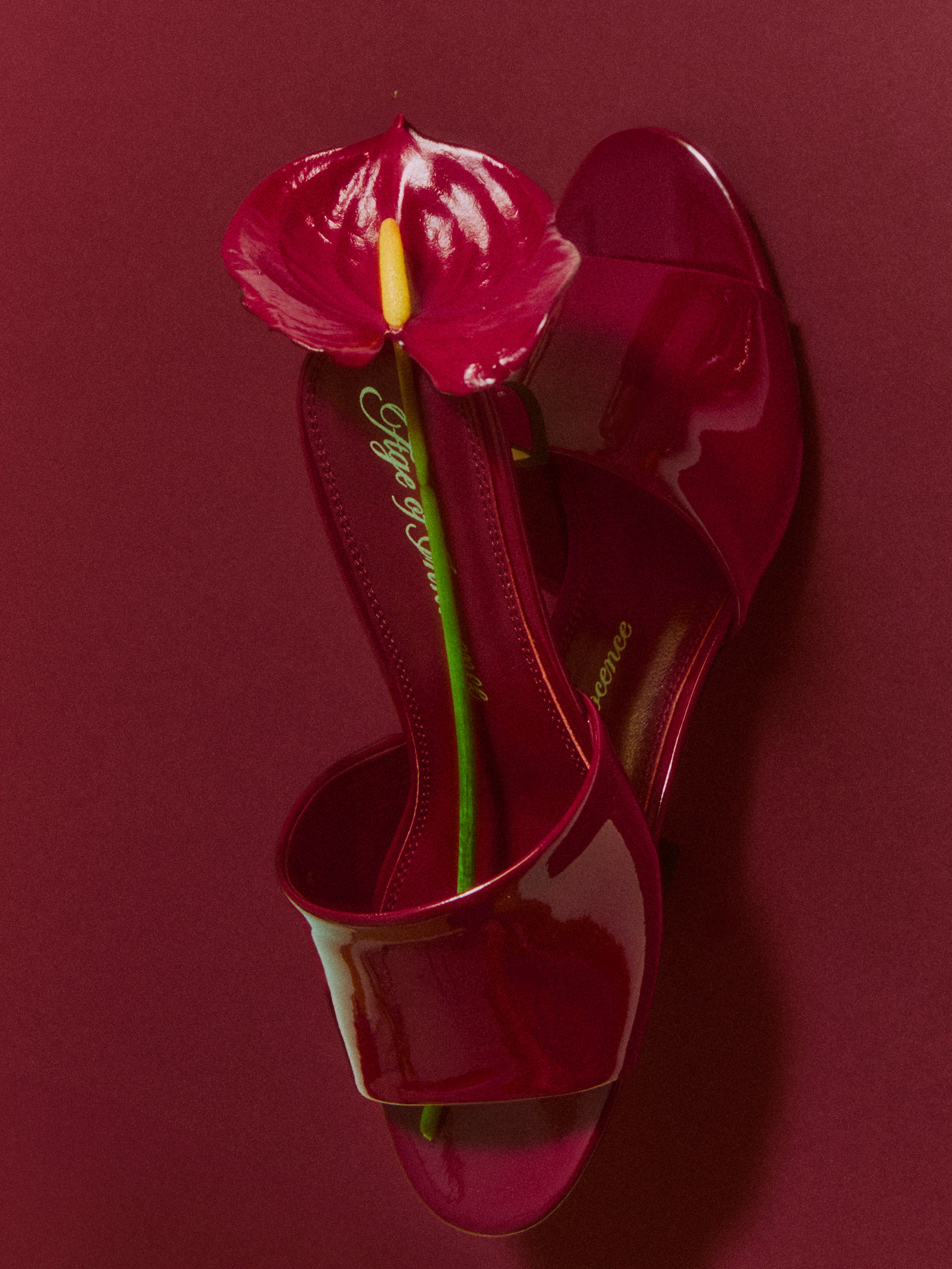 Мюли Aurea Burgundy