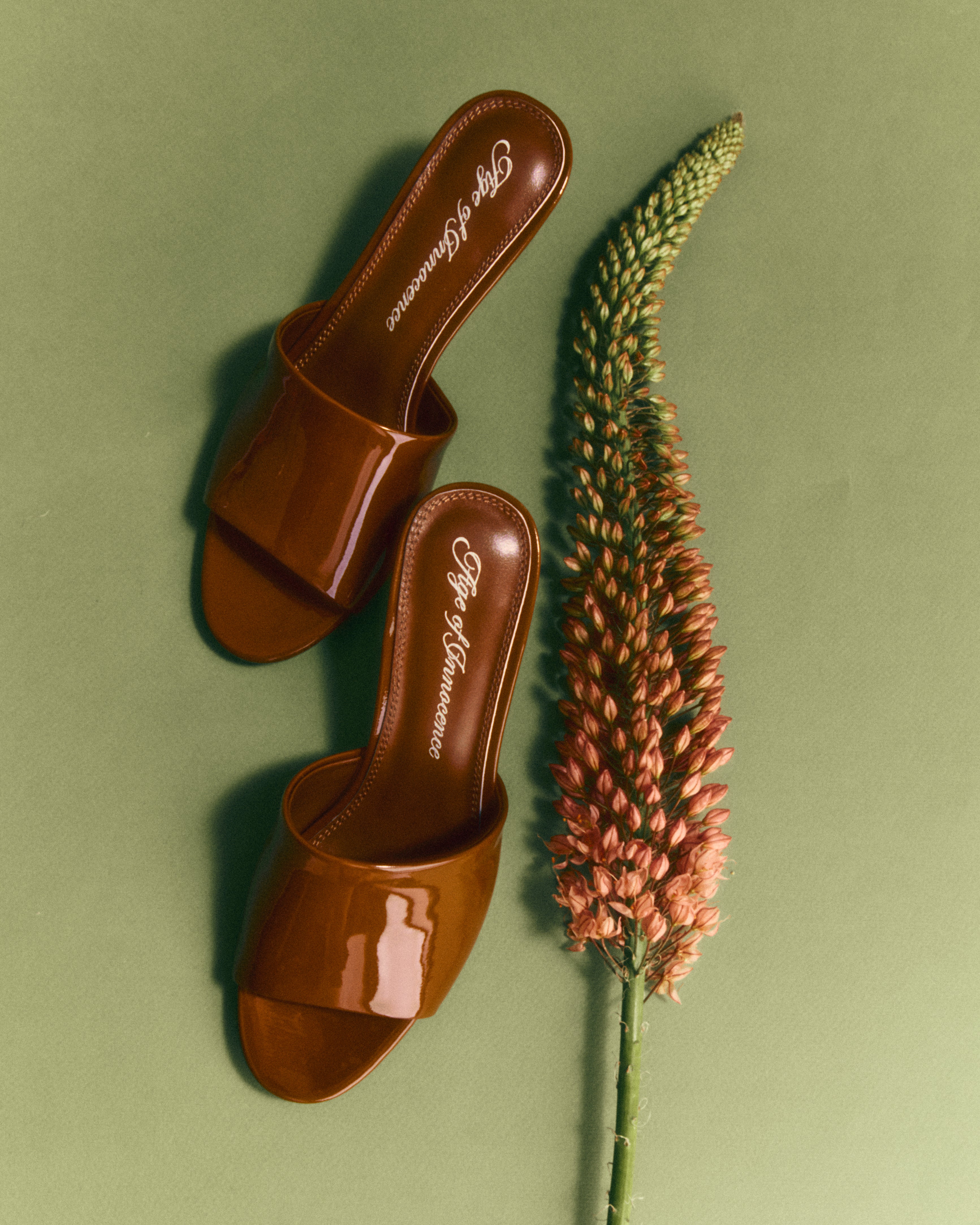 Мюли Aurea Mocca