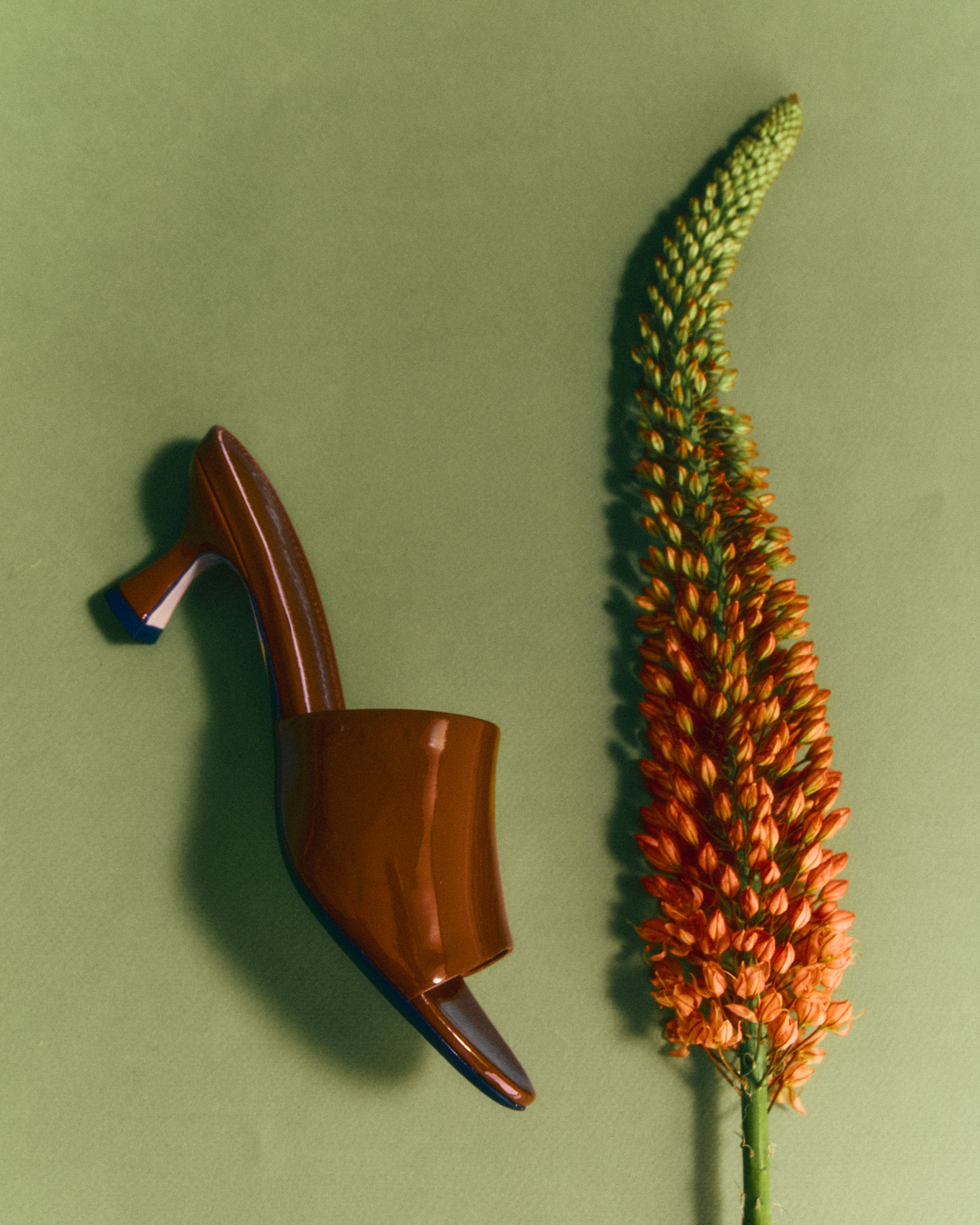 Мюли Aurea Mocca