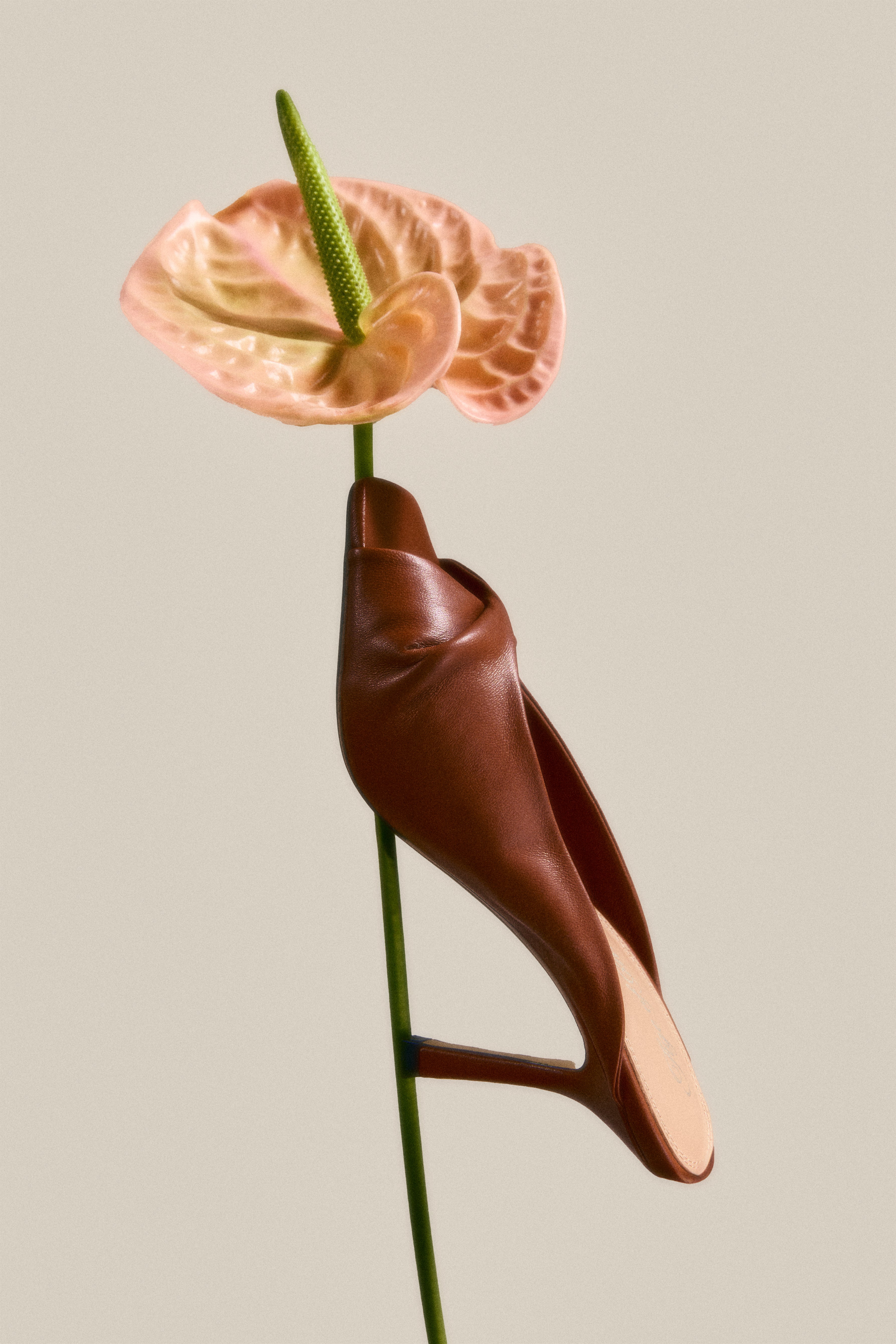 Мюли Patti Camel