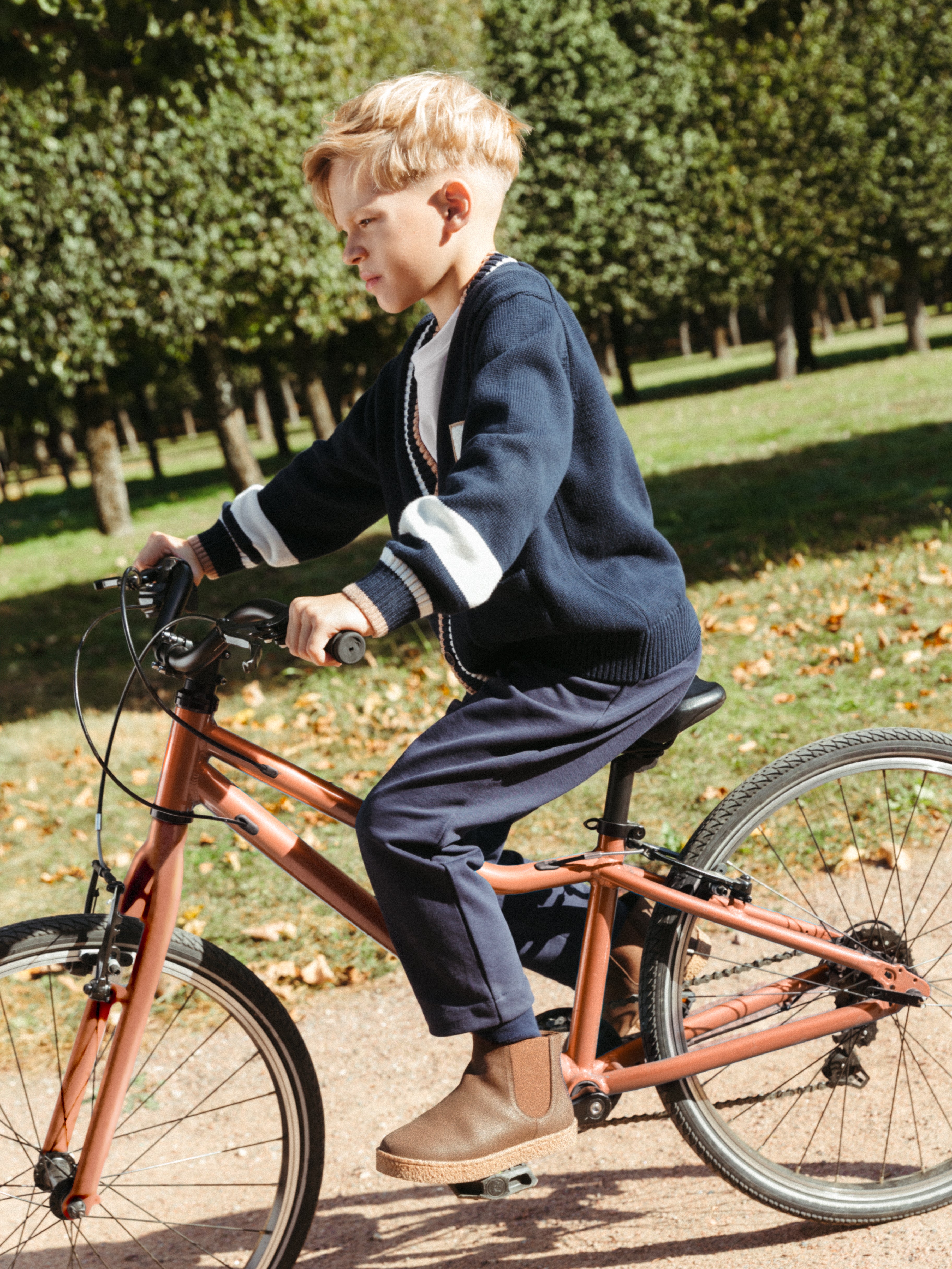 Челси Harry Brown