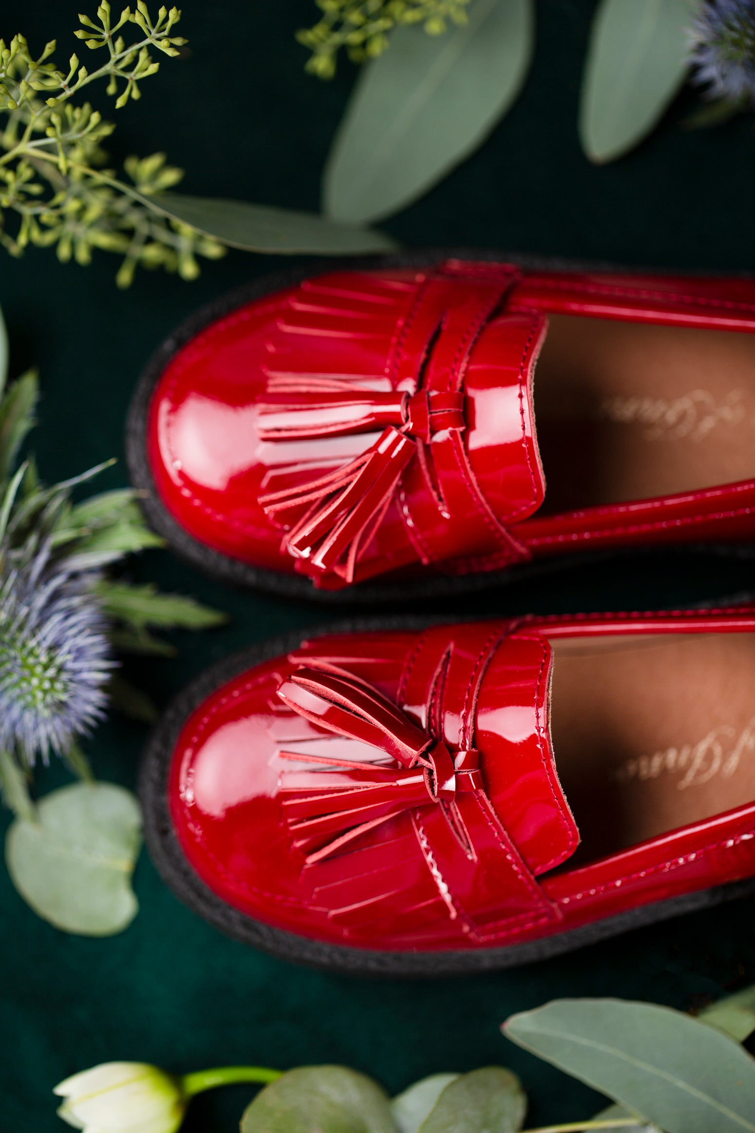 Лоферы Vita Burgundy