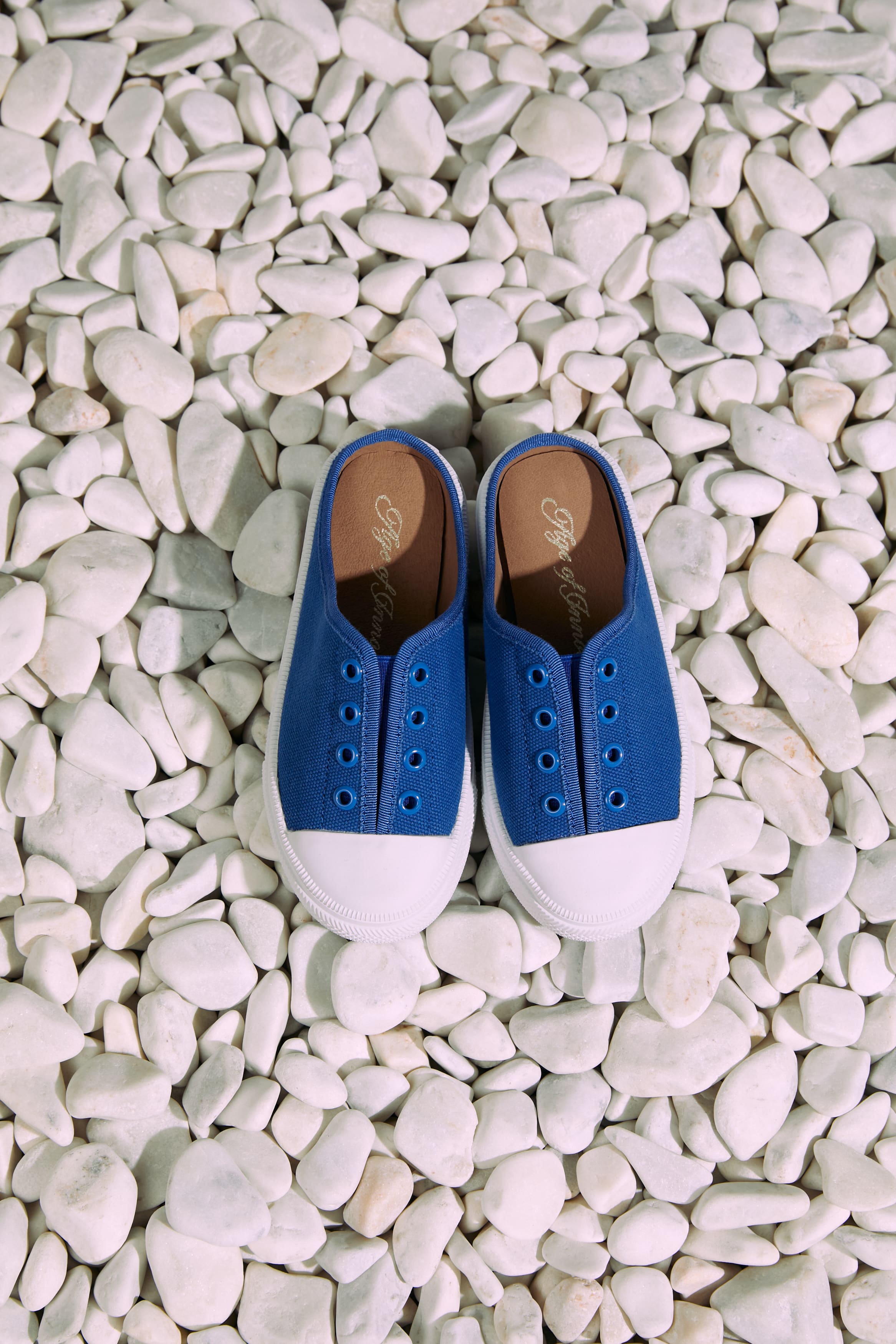 Кеды Alex 2.0 Navy